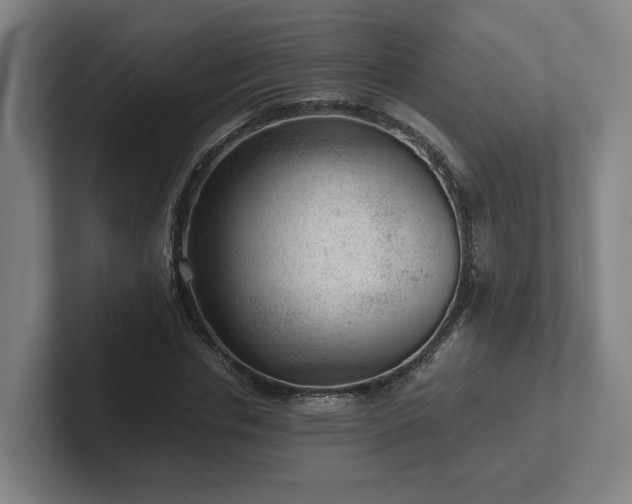 X0000101960826200807251153