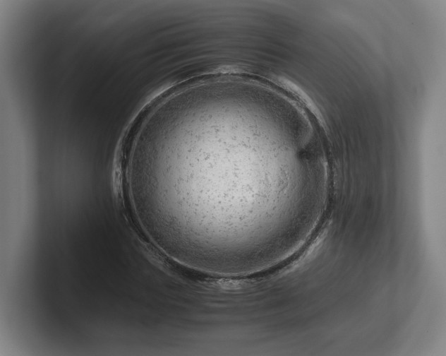 X0000101960827200807251153