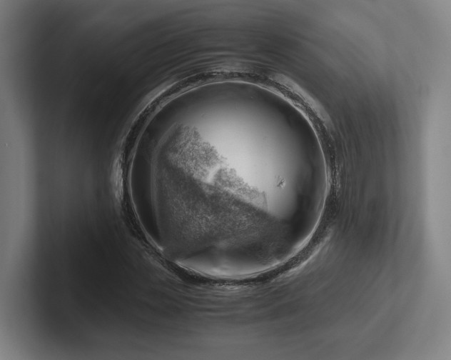 X0000101960829200807251153