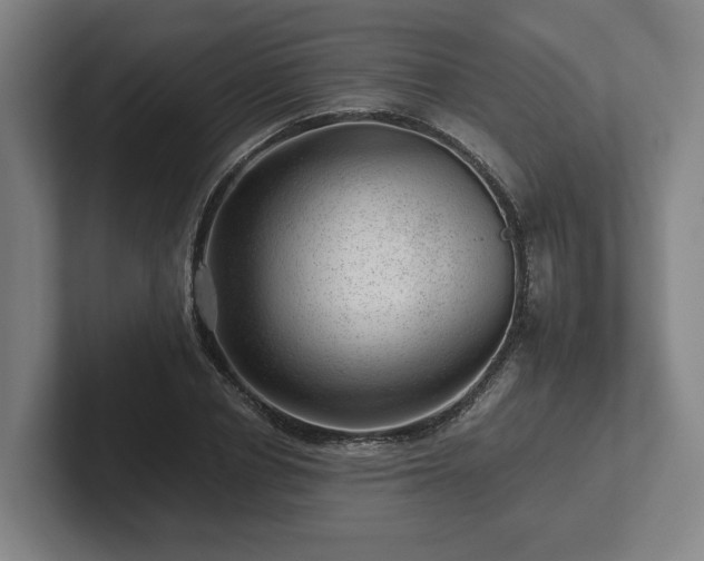 X0000101960834200807251153