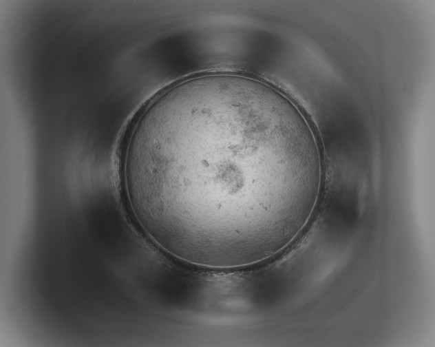 X0000101960835200807251153