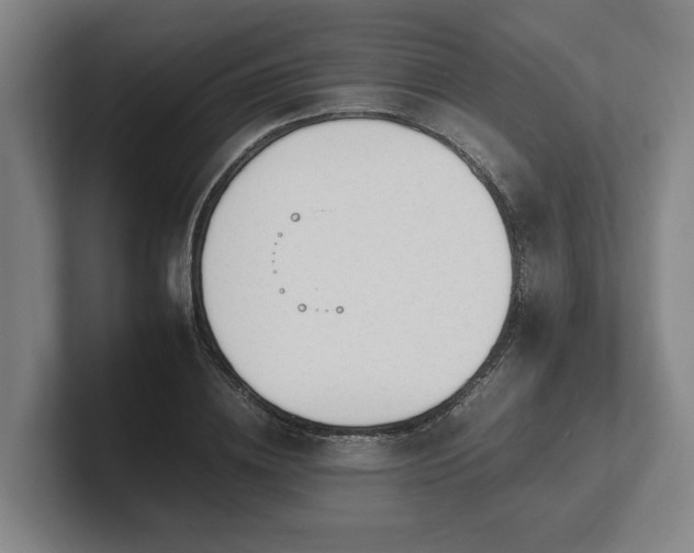 X0000101960836200807251153