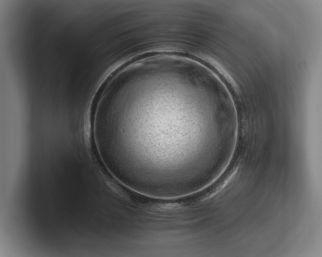 X0000101960837200807251153