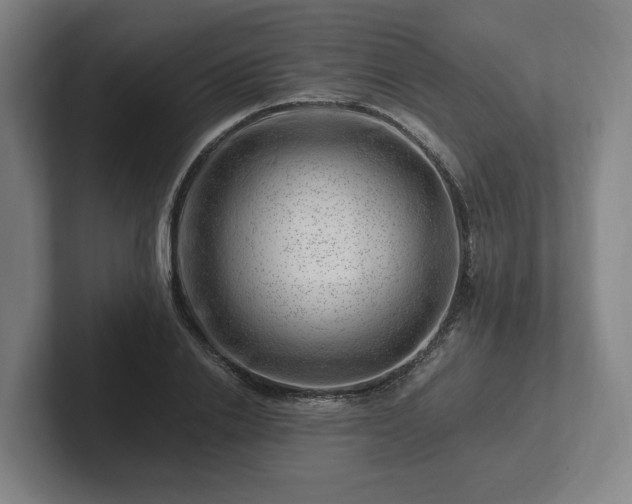 X0000101960838200807251153