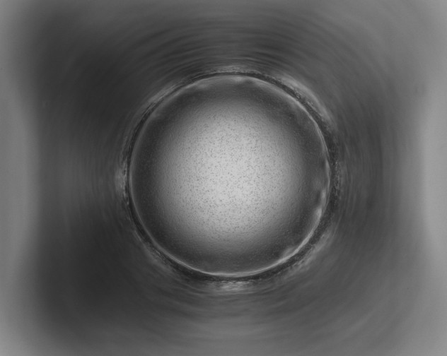 X0000101960841200807251153