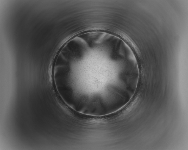 X0000101960842200807251153