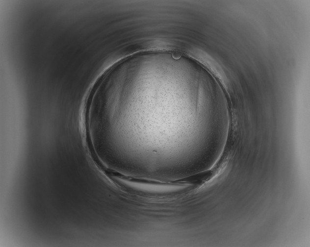 X0000101960843200807251153