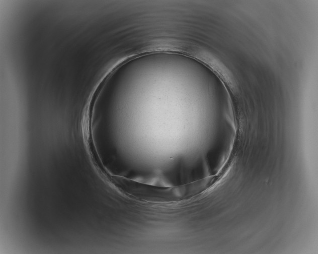 X0000101960844200807251153