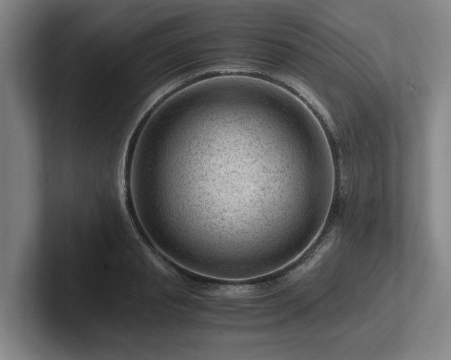 X0000101960845200807251153