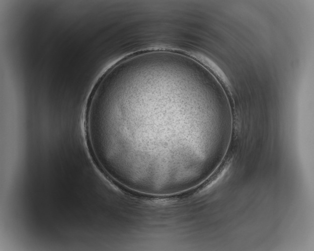 X0000101960847200807251153