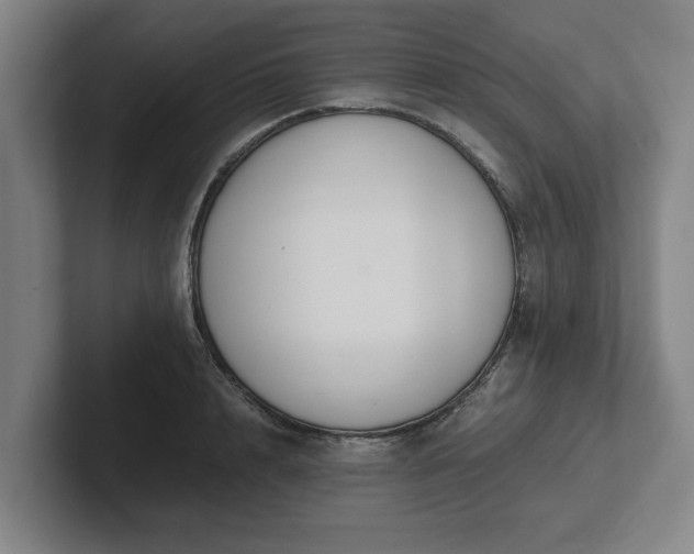 X0000101960848200807251153