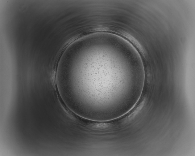 X0000101960849200807251153