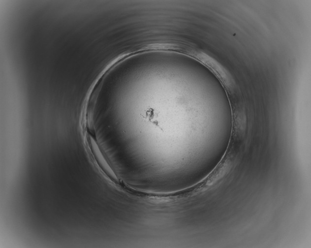 X0000101960852200807251153