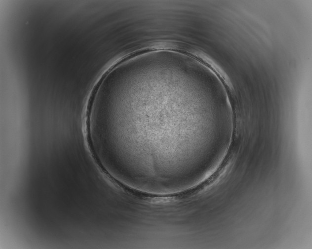 X0000101960853200807251153