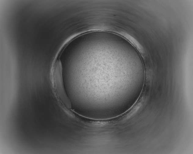 X0000101960854200807251153