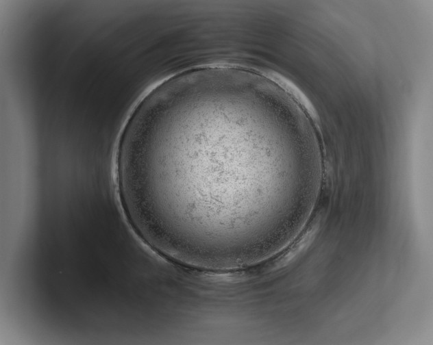 X0000101960855200807251153