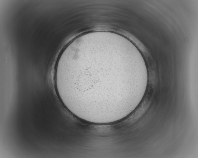 X0000101960856200807251153