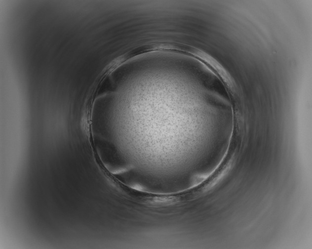 X0000101960857200807251153