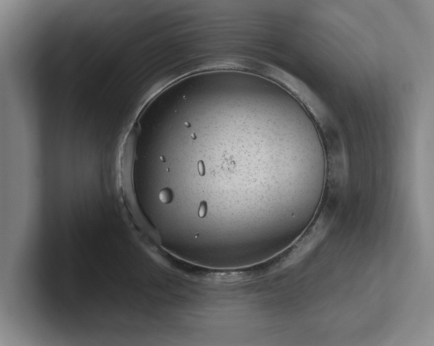 X0000101960858200807251153