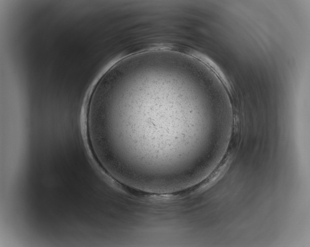 X0000101960859200807251153