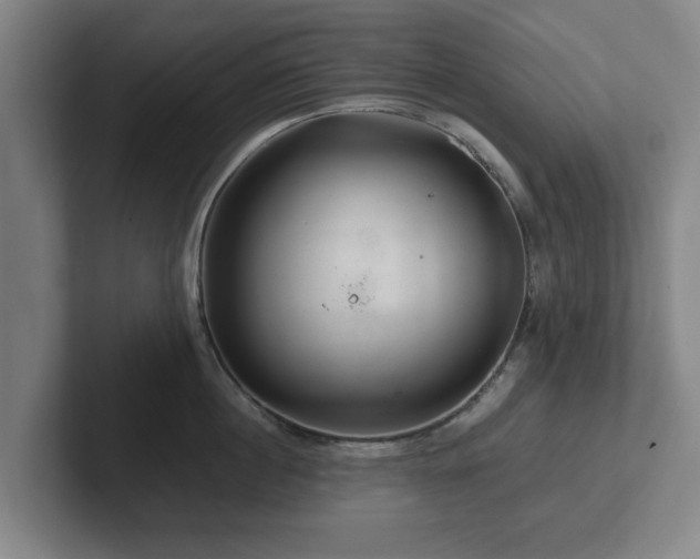 X0000101960860200807251153