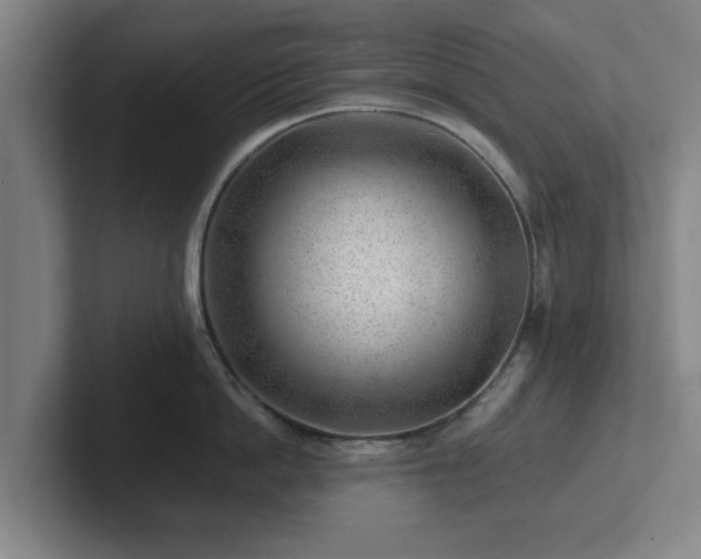 X0000101960862200807251153