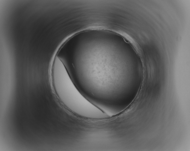 X0000101960864200807251153