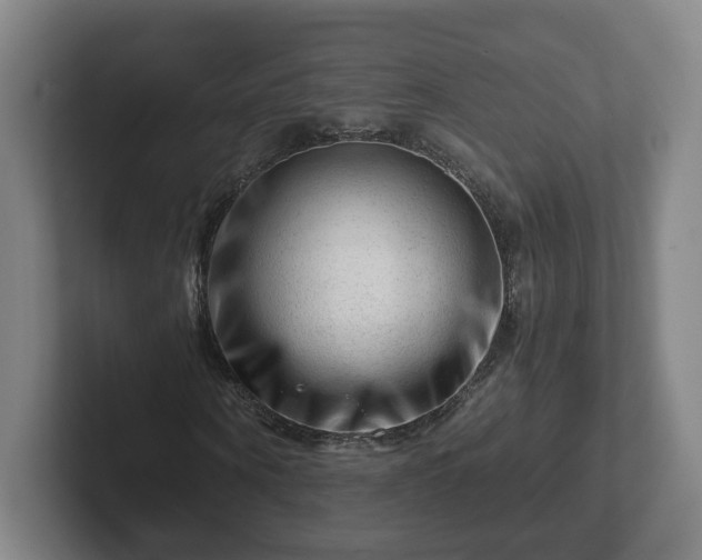 X0000101960866200807251152