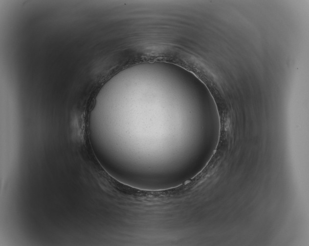 X0000101960868200807251152