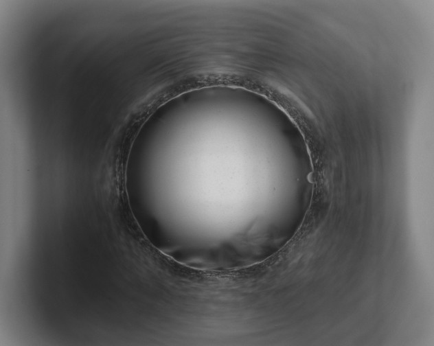 X0000101960870200807251152