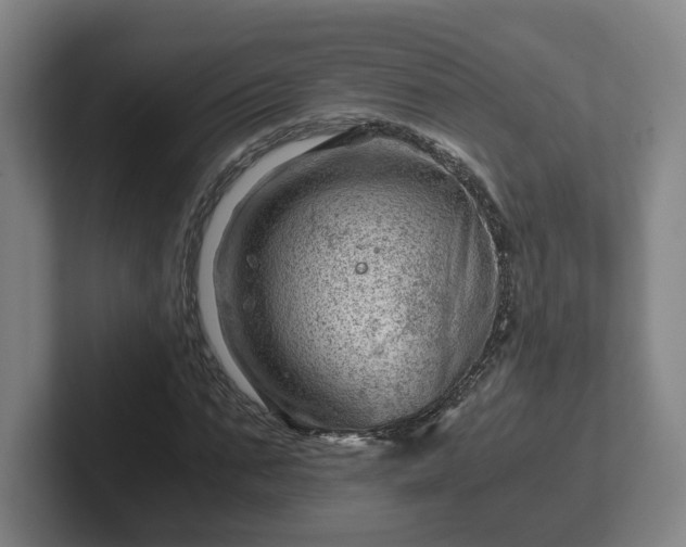 X0000101960871200807251152