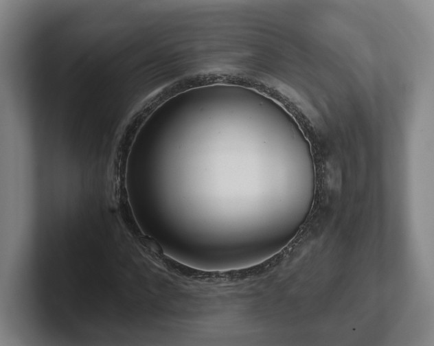 X0000101960872200807251152