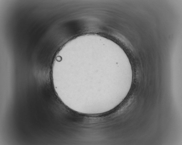 X0000101960873200807251152