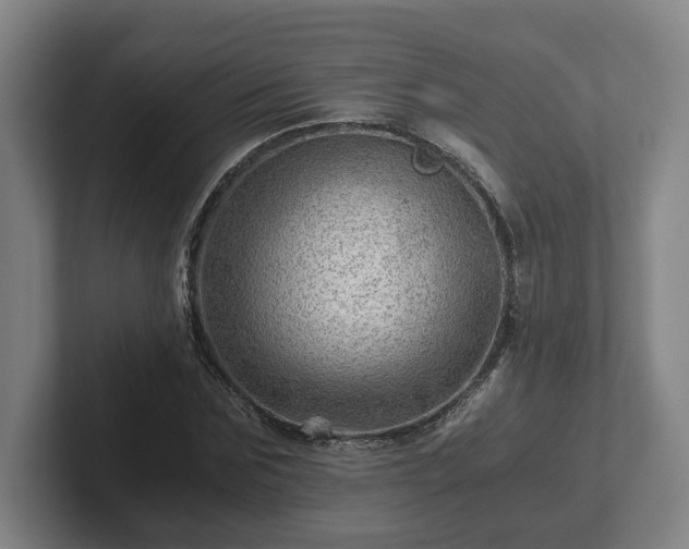 X0000101960875200807251152