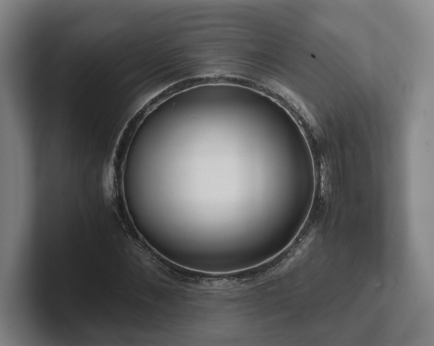 X0000101960876200807251152