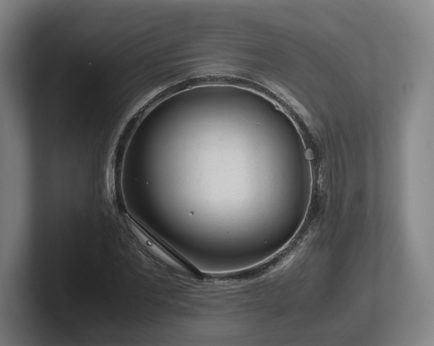 X0000101960877200807251152