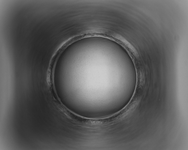 X0000101960878200807251152