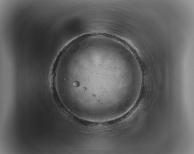 X0000101960879200807251152