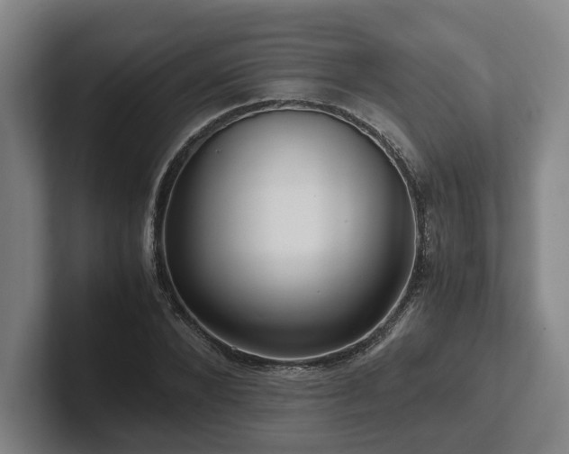 X0000101960880200807251152