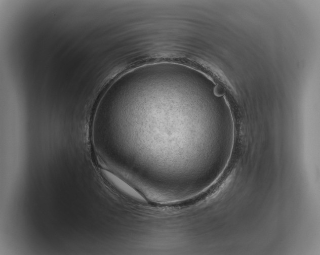 X0000101960881200807251152