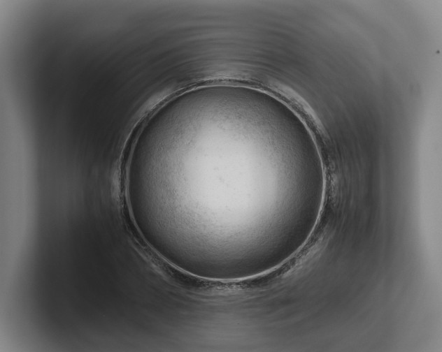 X0000101960882200807251152