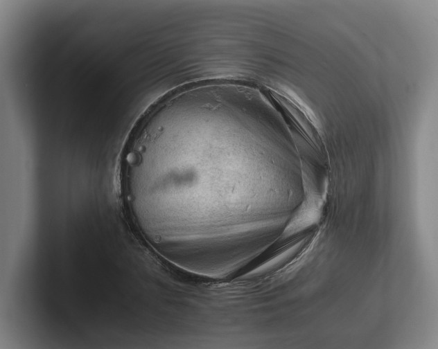 X0000101960883200807251152