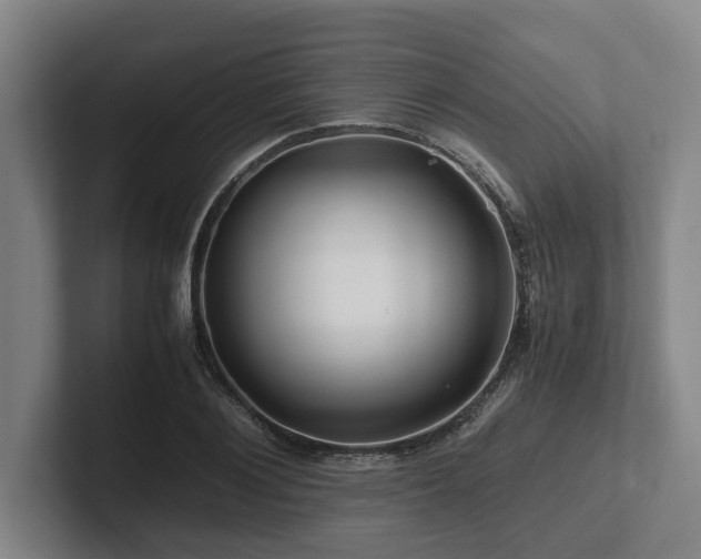 X0000101960884200807251152