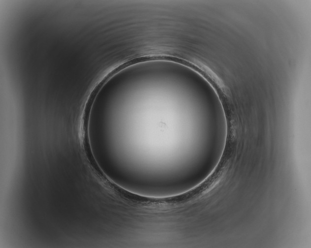 X0000101960885200807251152