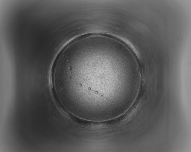 X0000101960887200807251152