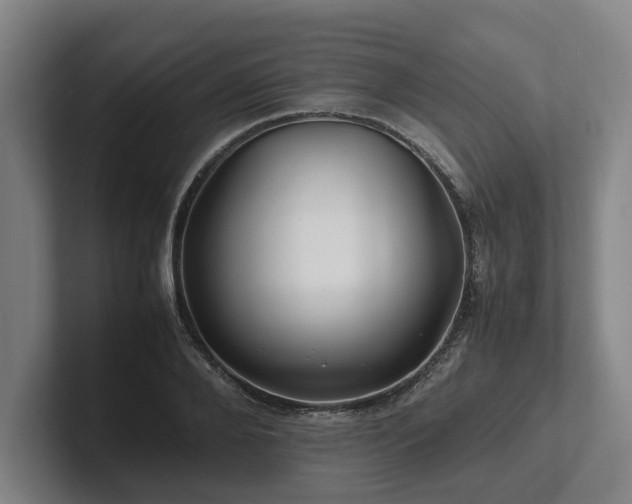 X0000101960888200807251152