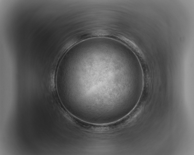 X0000101960889200807251152