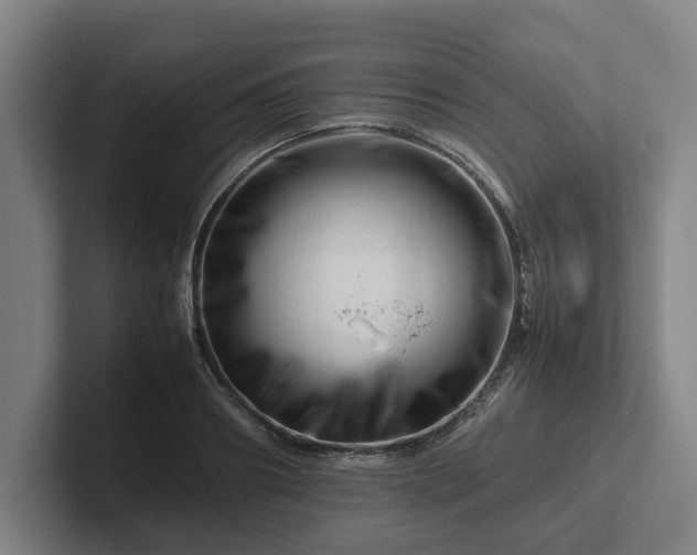 X0000101960890200807251152