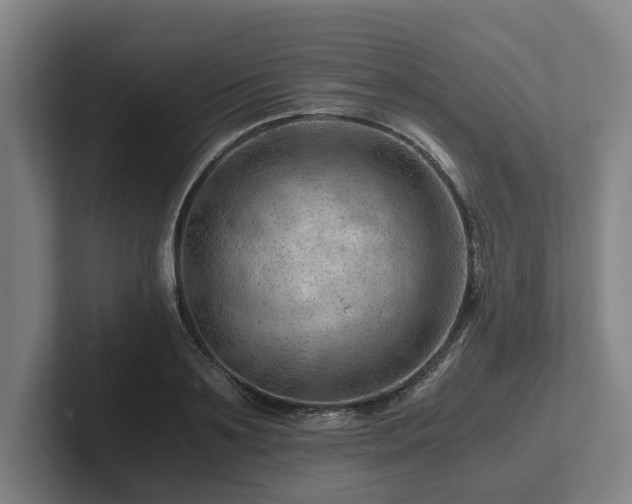 X0000101960891200807251152