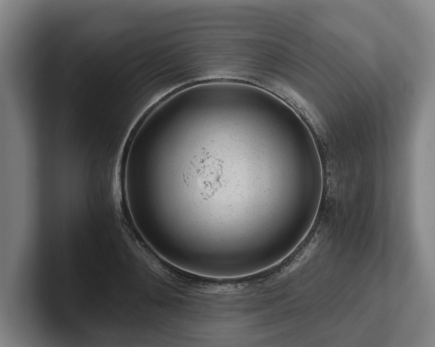 X0000101960892200807251152